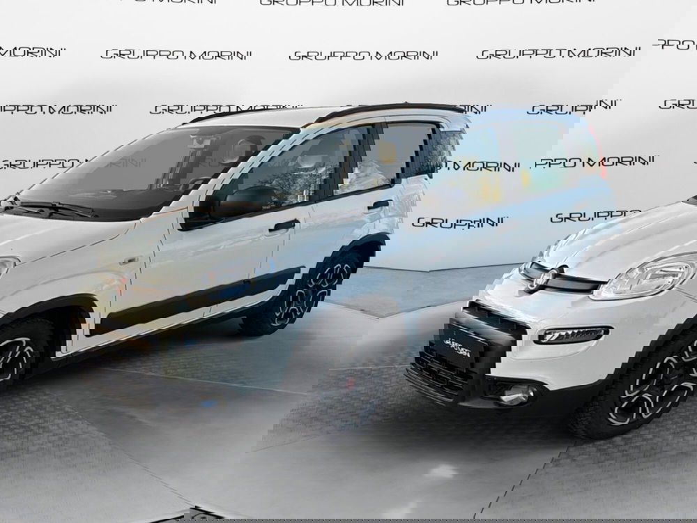 Fiat Panda usata a Bologna (3)