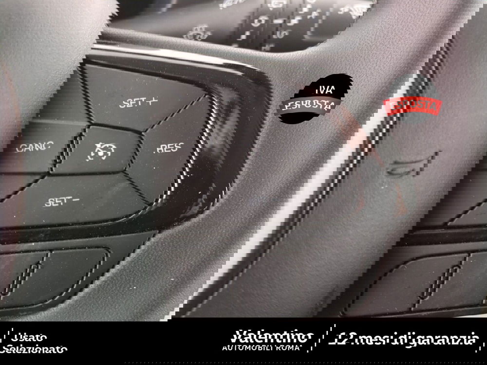 Fiat Panda Cross usata a Roma (12)