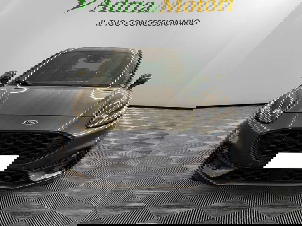 Ford Puma usata a Pordenone (8)