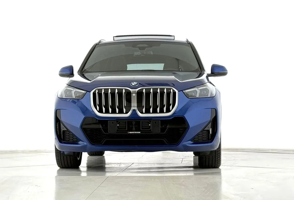 BMW X1 usata a Perugia (2)