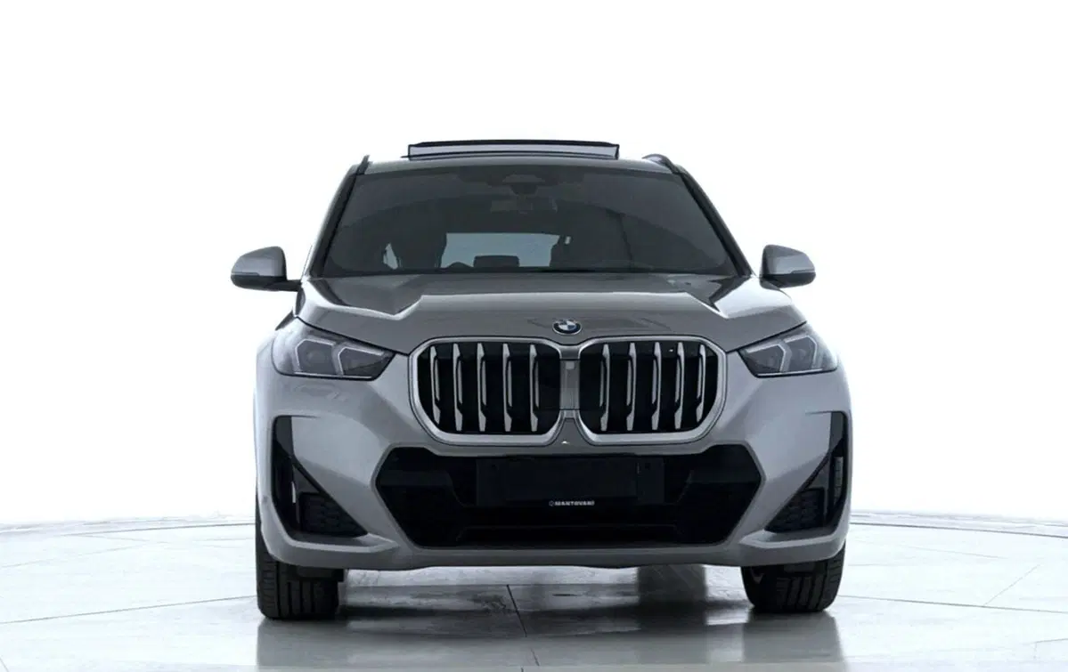 BMW X1 usata a Perugia (2)