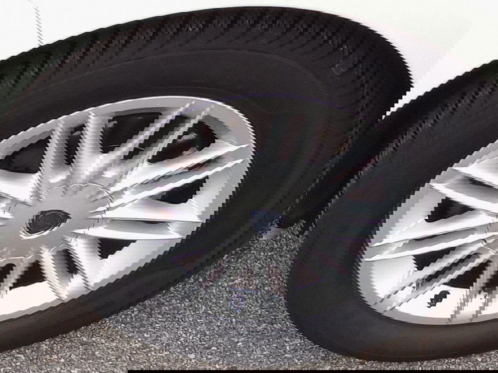 Lancia Musa usata a Rimini (14)