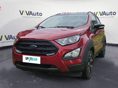 Ford EcoSport 1.0 EcoBoost 125 CV Start&amp;Stop Active del 2022 usata a Massa