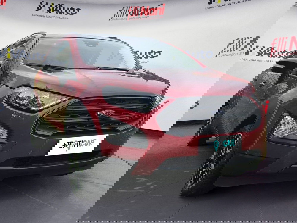 Ford EcoSport usata a Massa-Carrara (18)