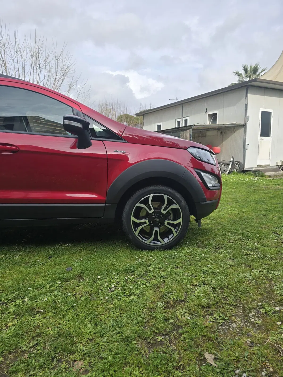 Ford EcoSport usata a Massa-Carrara (20)