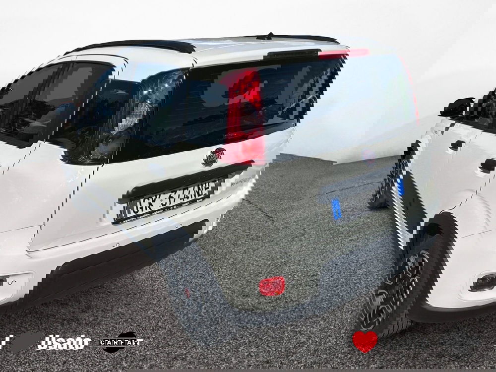 Fiat Panda usata a Latina (4)