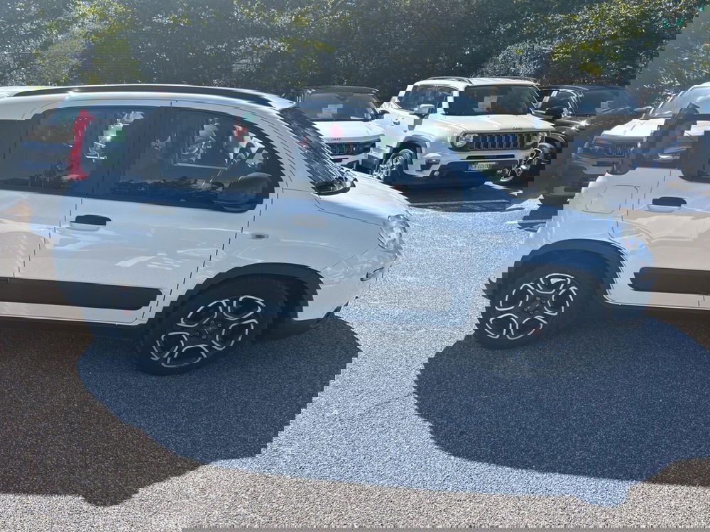 Fiat Panda usata a Latina (6)