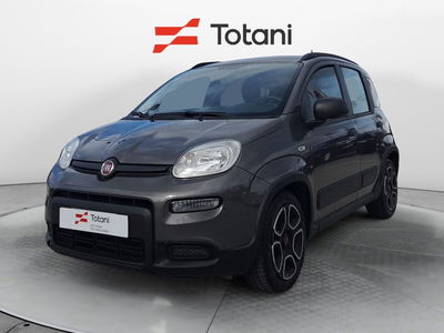 Fiat Panda 1.0 firefly hybrid s&amp;s 70cv 5p.ti del 2022 usata a L'Aquila