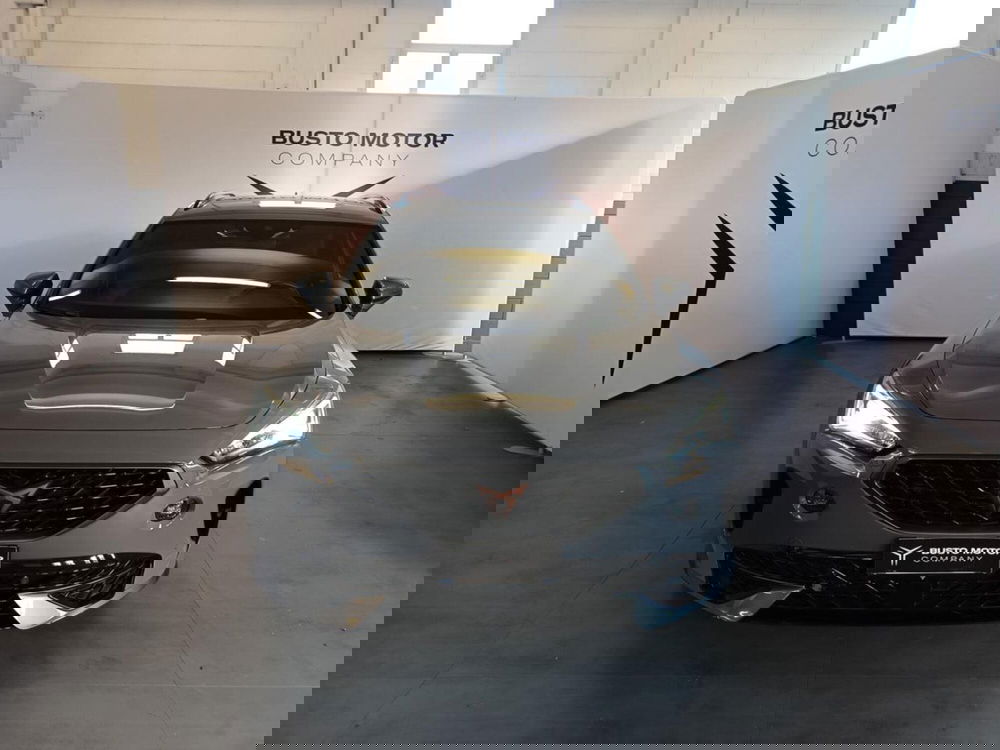 Cupra Formentor usata a Varese (2)