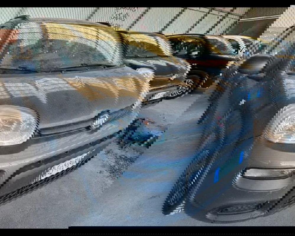 Fiat Panda usata a Bologna