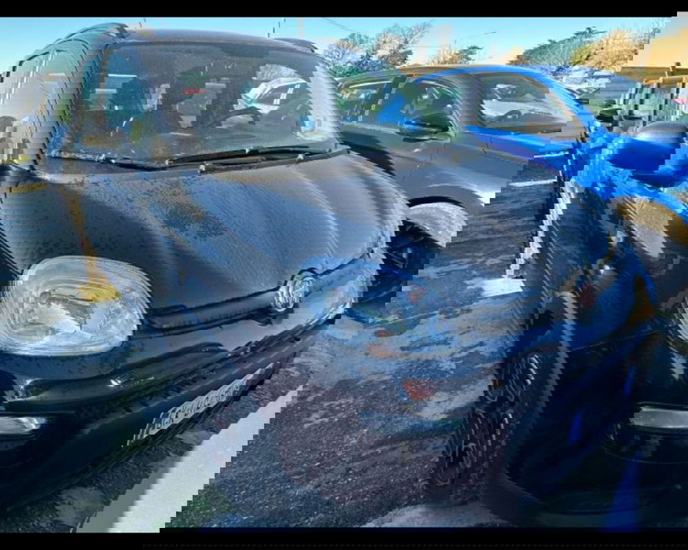 Fiat Panda usata a Bologna