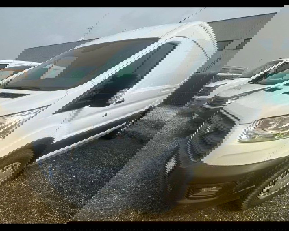 Ford Transit Furgone usata a Bologna