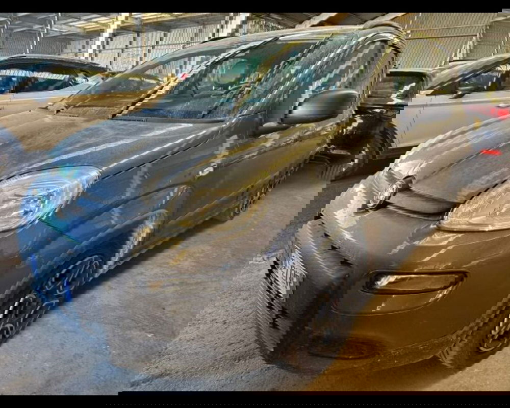 Fiat Panda usata a Bologna