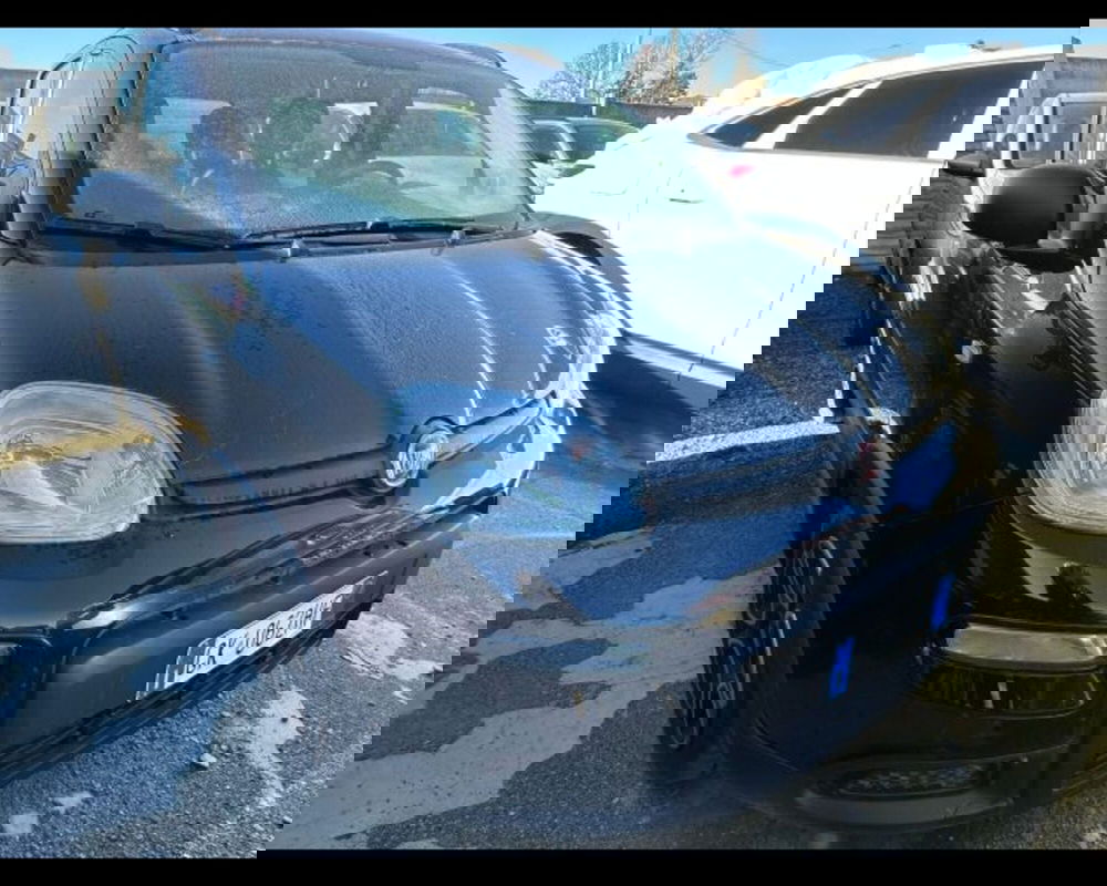 Fiat Panda usata a Bologna