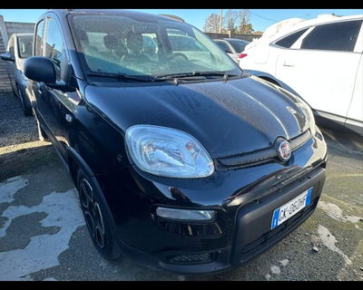Fiat Panda 1.0 firefly hybrid s&amp;s 70cv 5p.ti del 2022 usata a Castenaso