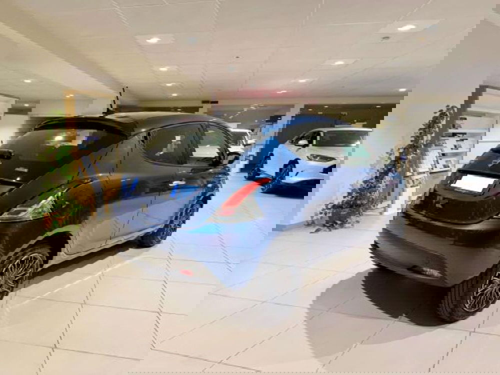Lancia Ypsilon usata a Savona (5)