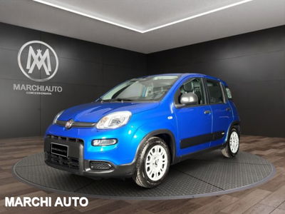 Fiat Panda 1.0 firefly hybrid s&amp;s 70cv 5p.ti del 2024 usata a Bastia Umbra