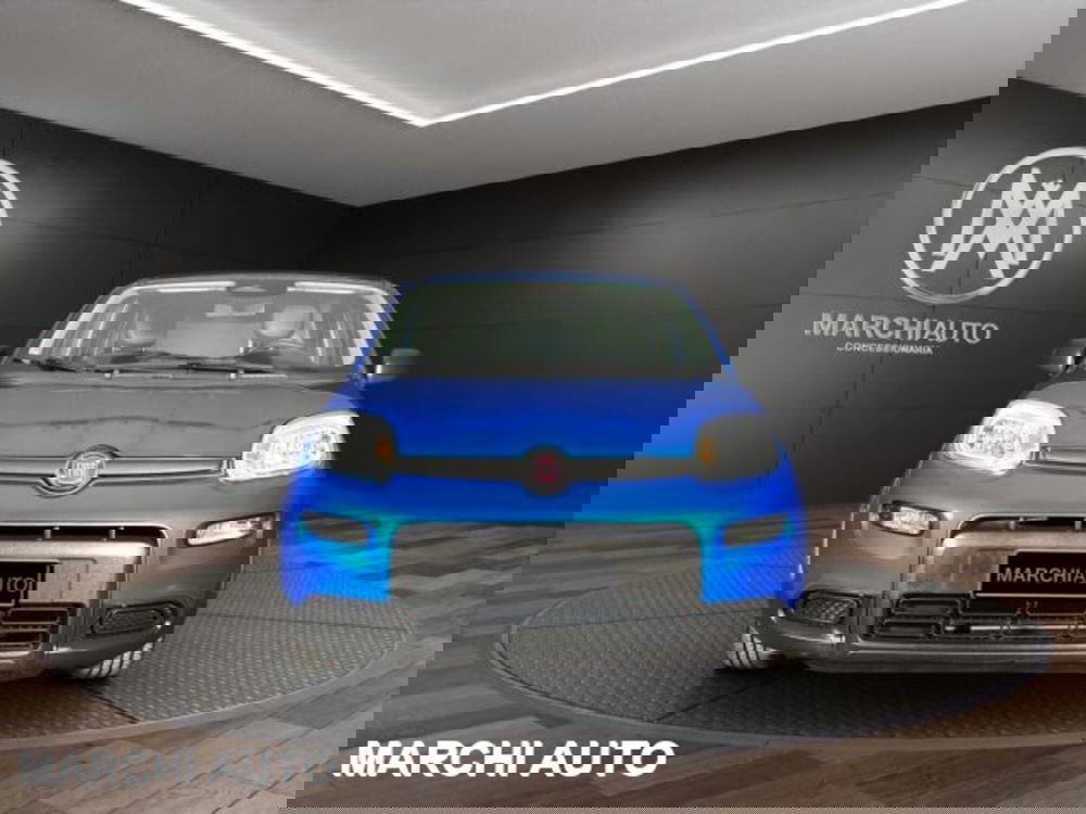 Fiat Panda usata a Perugia (2)