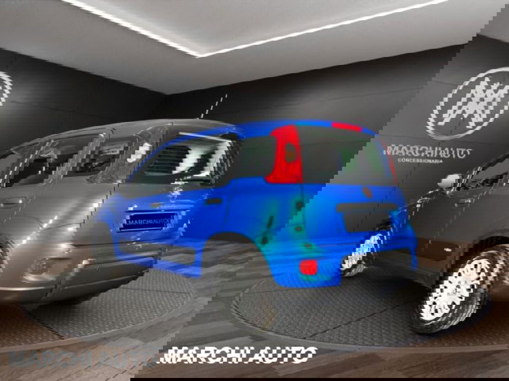 Fiat Panda usata a Perugia (7)