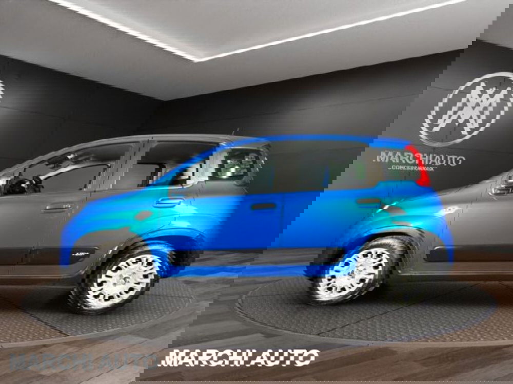 Fiat Panda usata a Perugia (8)