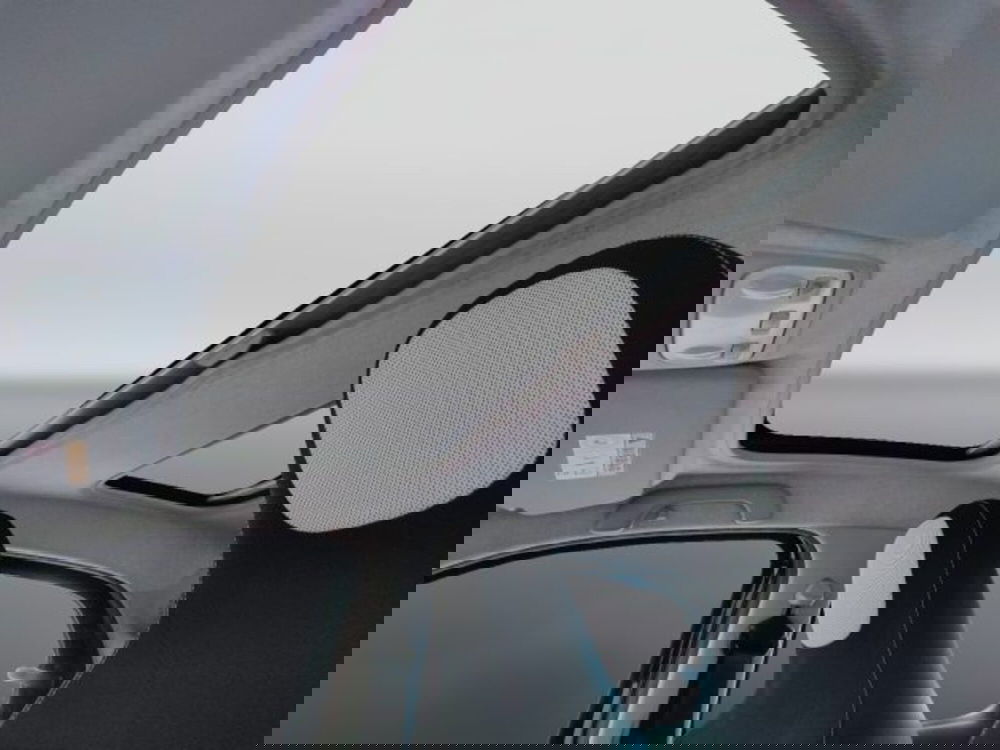 smart forfour usata a Teramo (15)