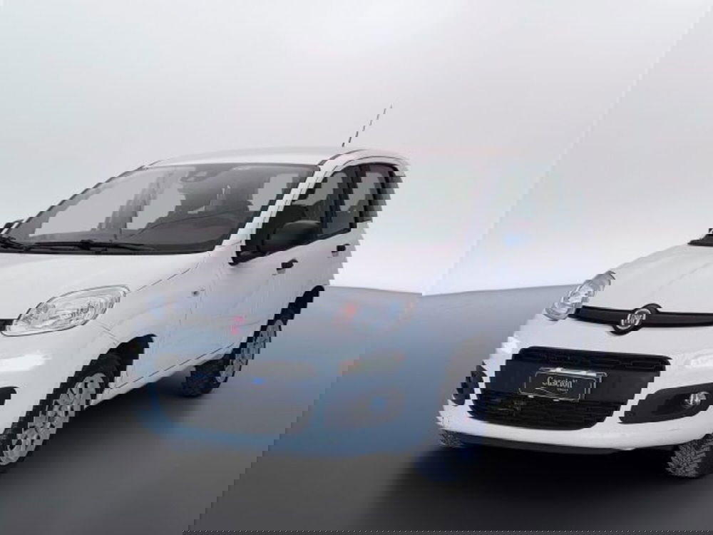 Fiat Panda usata a Teramo