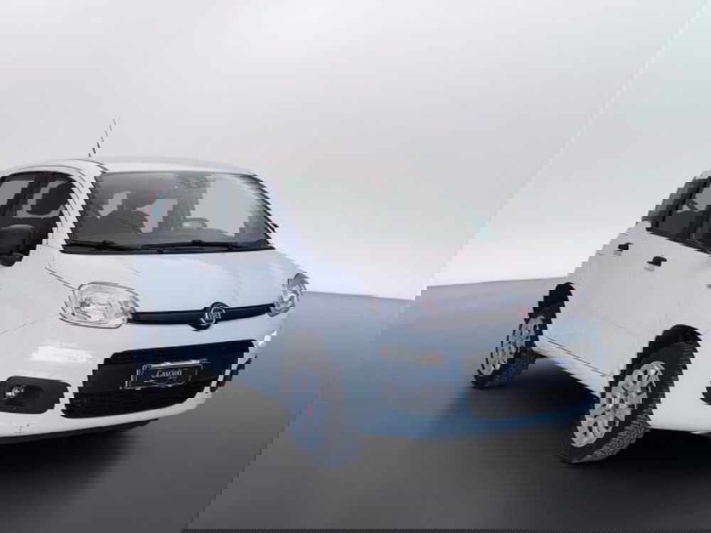 Fiat Panda usata a Teramo (3)