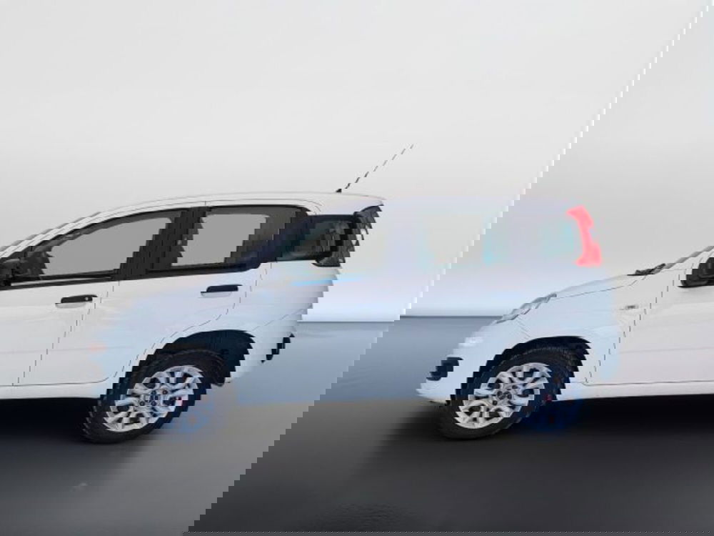 Fiat Panda usata a Teramo (4)