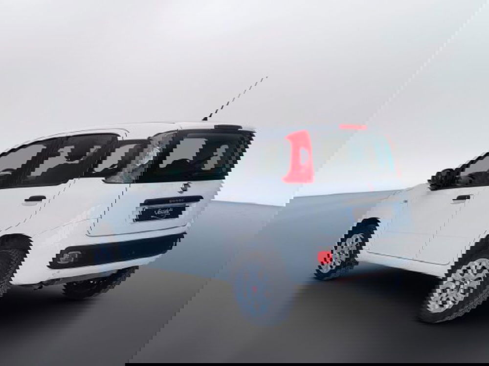 Fiat Panda usata a Teramo (5)