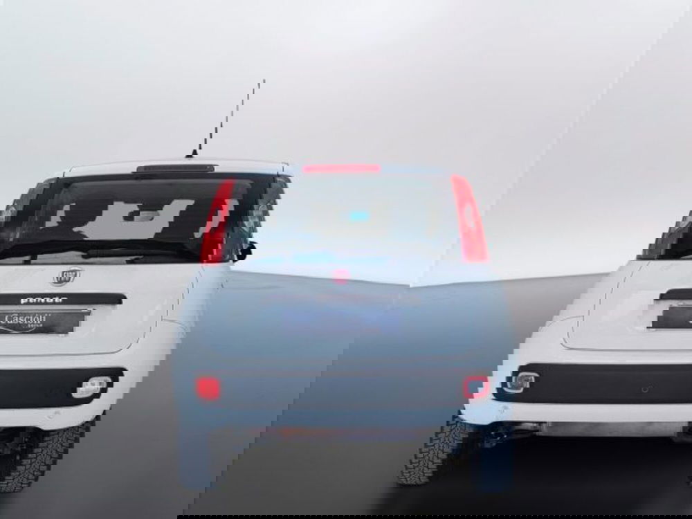 Fiat Panda usata a Teramo (6)