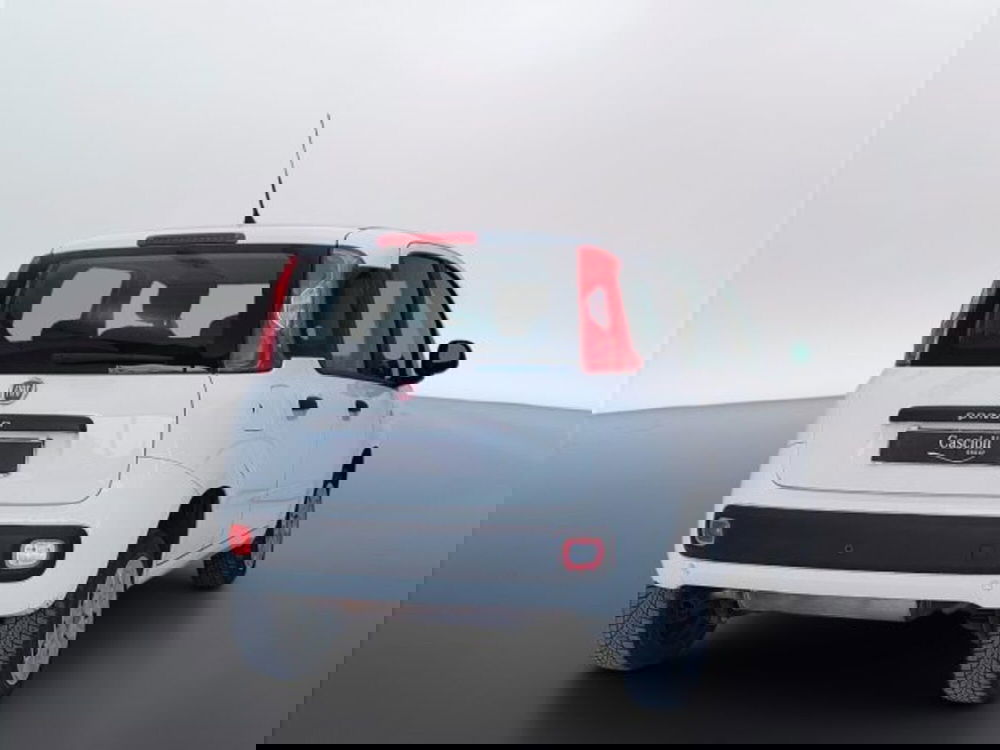 Fiat Panda usata a Teramo (7)