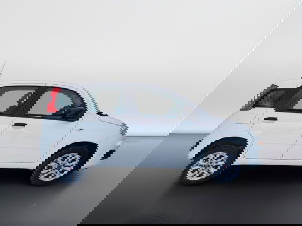 Fiat Panda usata a Teramo (8)