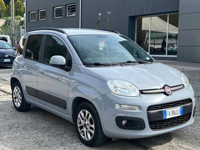 Fiat Panda 1.2 EasyPower Lounge del 2019 usata a Massarosa