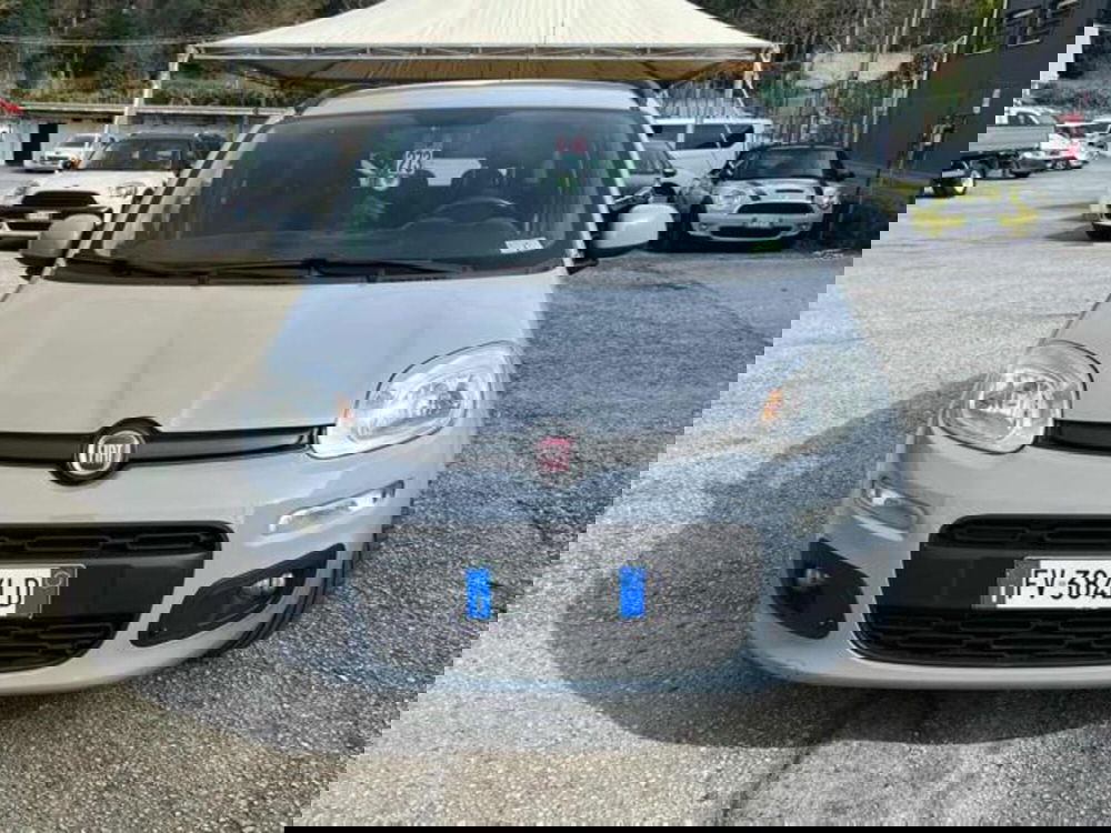 Fiat Panda usata a Lucca (2)