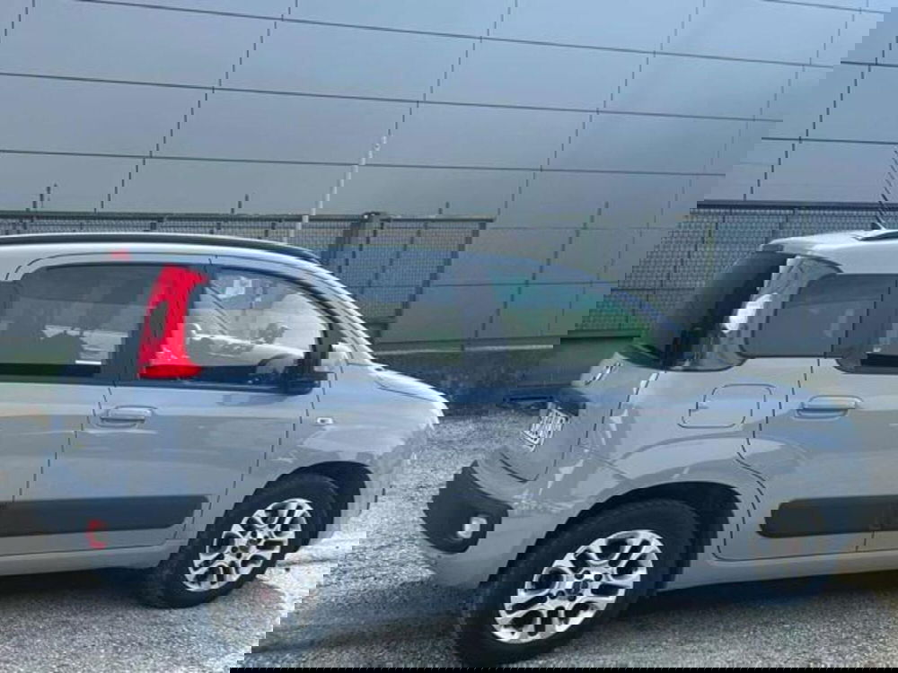 Fiat Panda usata a Lucca (5)