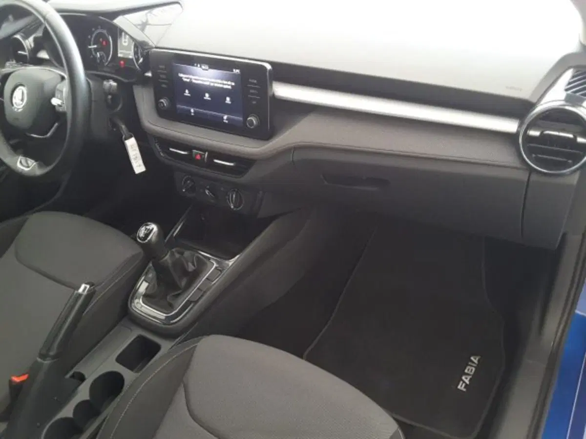 Skoda Fabia usata a Firenze (10)