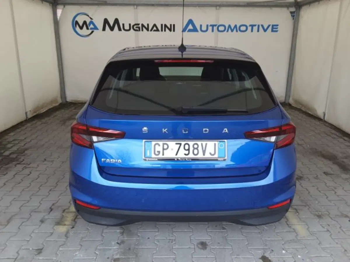 Skoda Fabia usata a Firenze (12)