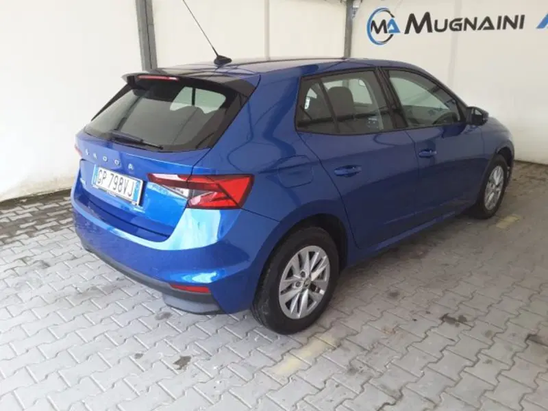 Skoda Fabia usata a Firenze (13)
