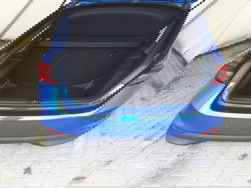 Skoda Fabia usata a Firenze (14)