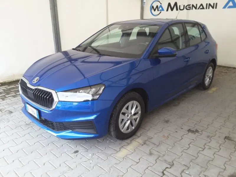 Skoda Fabia usata a Firenze (3)
