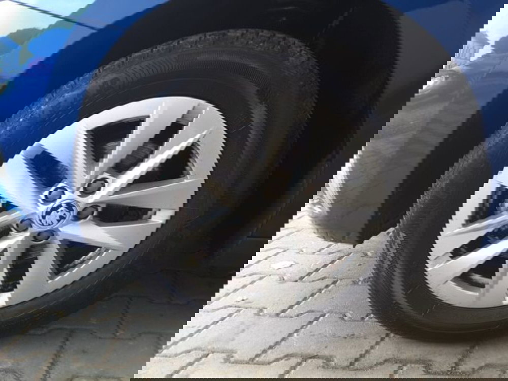 Skoda Fabia usata a Firenze (4)