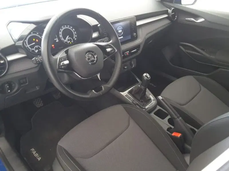 Skoda Fabia usata a Firenze (6)