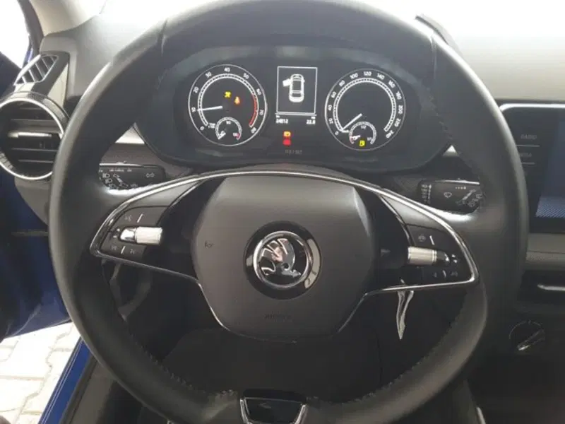 Skoda Fabia usata a Firenze (7)