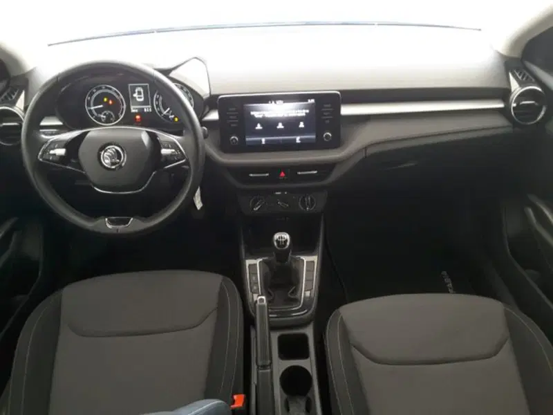 Skoda Fabia usata a Firenze (9)