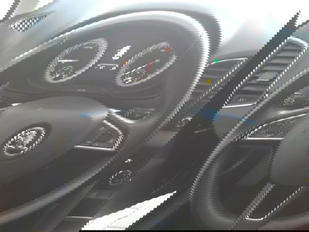 Skoda Karoq usata a Firenze (7)