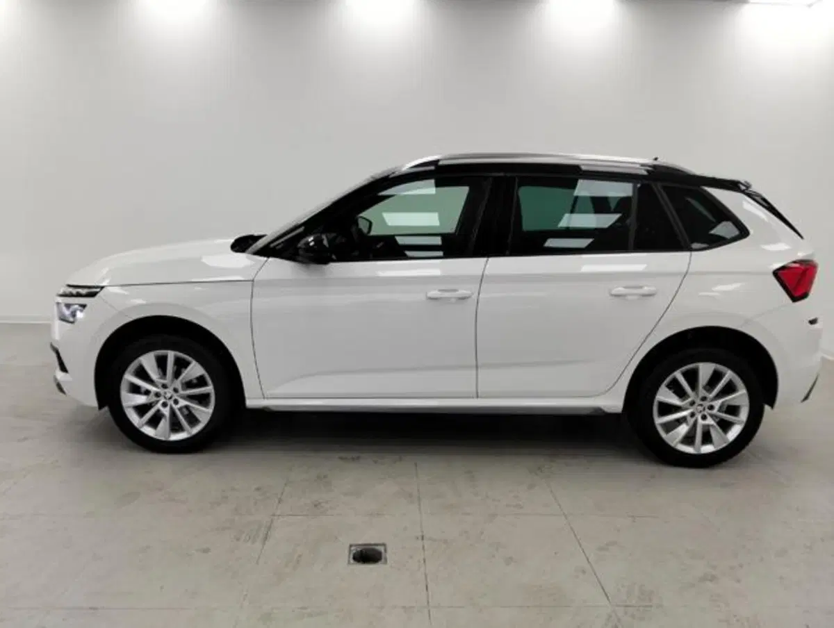 Skoda Kamiq usata a Como (8)