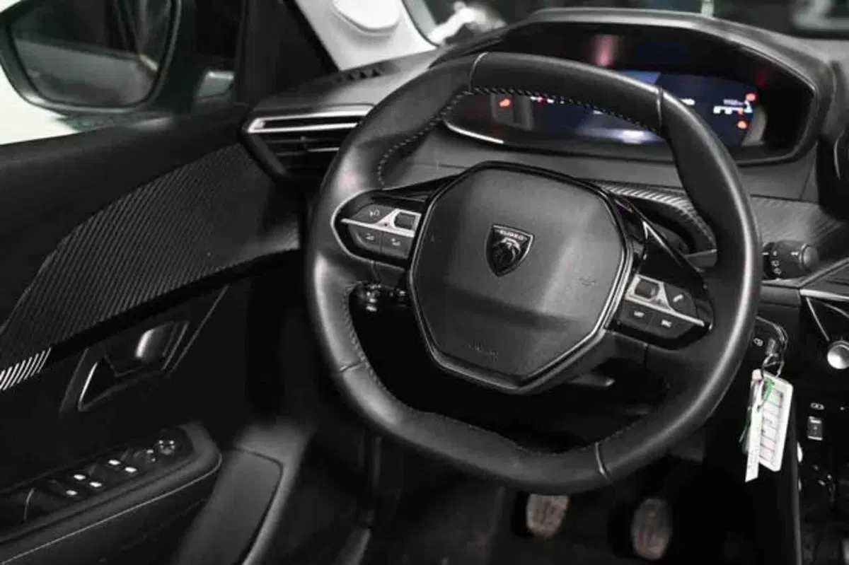 Peugeot 208 usata a Torino (15)