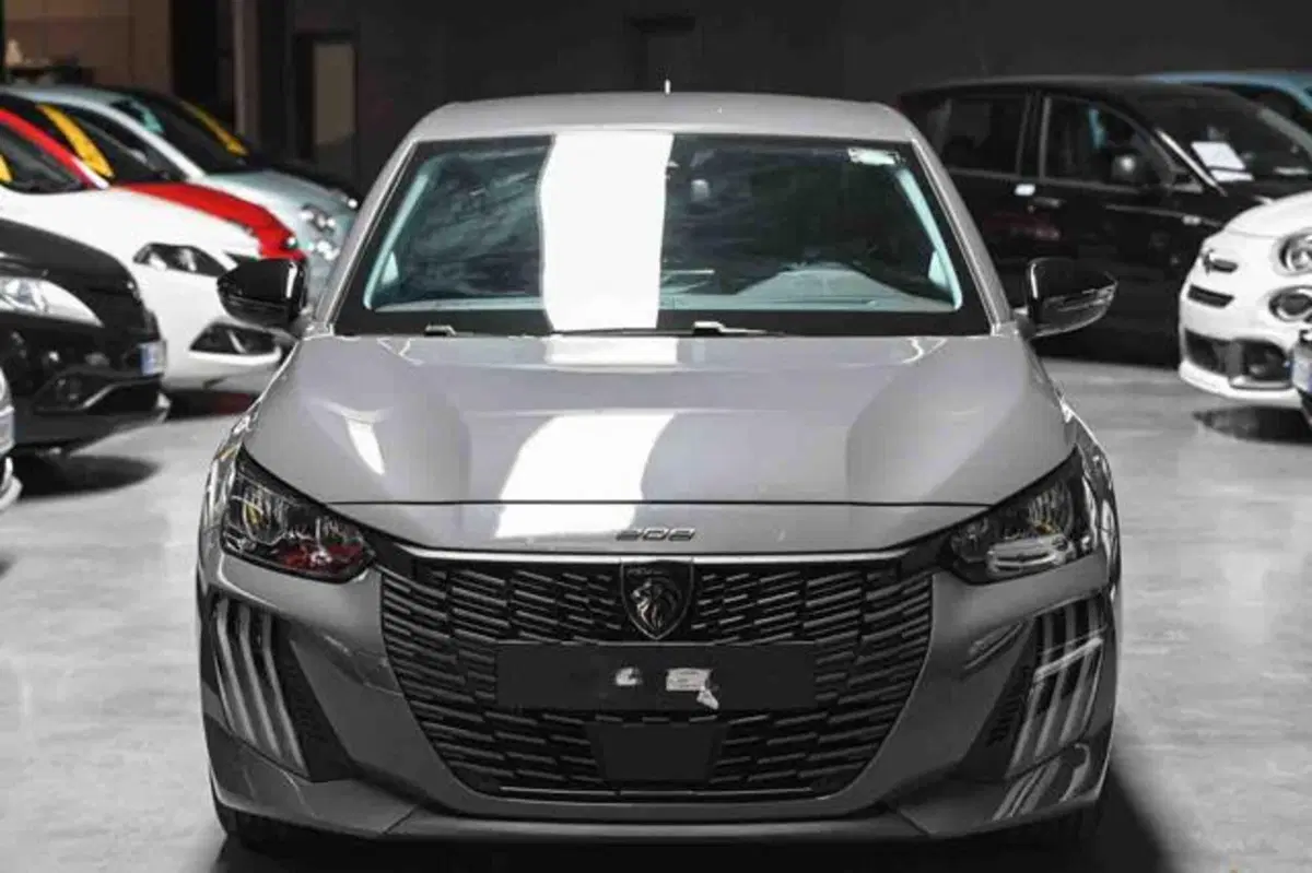 Peugeot 208 usata a Torino (2)