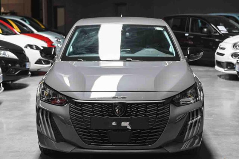 Peugeot 208 usata a Torino (2)