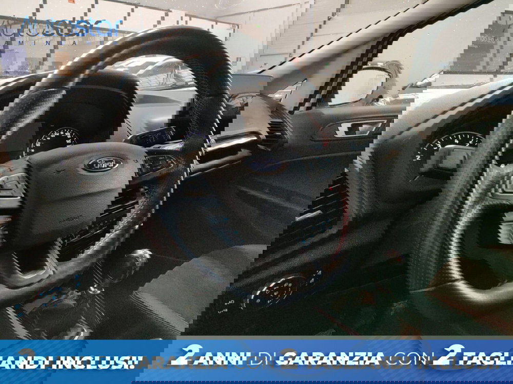 Ford EcoSport usata a Roma (11)